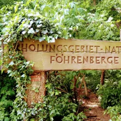 Klausen-Leopoldsdorf Nature Reserve - Modling