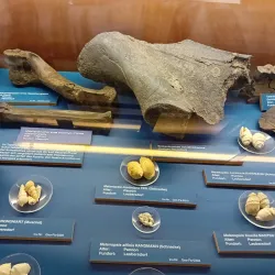 Mödling Museum - Modling