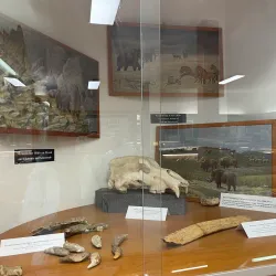 Mödling Museum - Modling