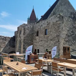 Perchtoldsdorf Wine Village - Modling