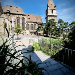 Perchtoldsdorf Wine Village - Modling