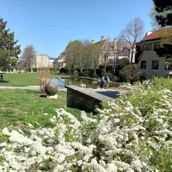 Perchtoldsdorf Wine Village - Modling