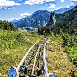 Alpine Coaster Oberndorf - Oberndorf in Tirol