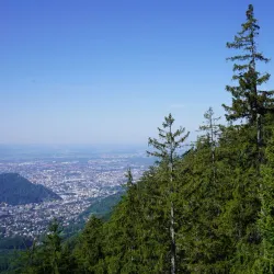 Hiking to Gaisberg - Oberndorf in Tirol