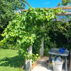 Gartensiedlung Sankt Pölten - Sankt Poelten