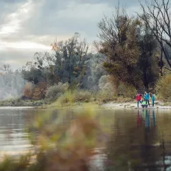 Donau-Auen National Park (near Schwechat) - Schwechat