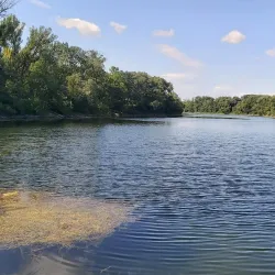 Donau-Auen National Park (near Schwechat) - Schwechat