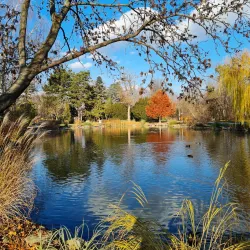 Schwechat City Park (Stadtpark Schwechat) - Schwechat