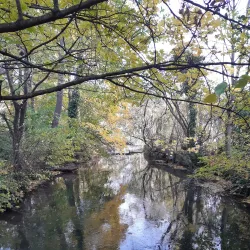 Schwechat City Park (Stadtpark Schwechat) - Schwechat