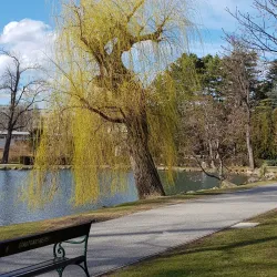 Schwechat City Park (Stadtpark Schwechat) - Schwechat