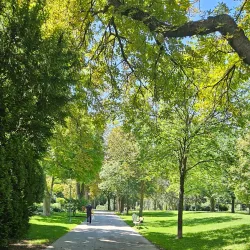 Schwechat City Park (Stadtpark Schwechat) - Schwechat