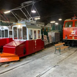 Schwechat Museum - Schwechat