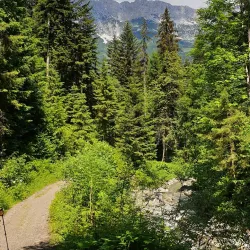 Hiking Trails around Soll - Soll