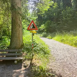 Hiking Trails around Soll - Soll
