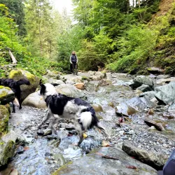 Hiking Trails around Soll - Soll