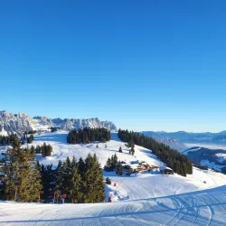 Wilder Kaiser Nature Park - Soll