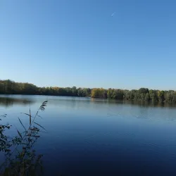 Traun Nature Reserve - Traun