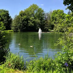Vöcklabruck City Park - Vöcklabruck