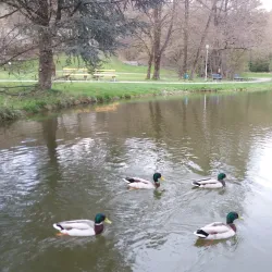 Vöcklabruck City Park - Vöcklabruck