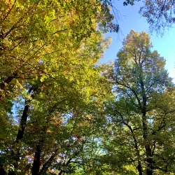 Villach City Park (Stadtpark Villach) - Villach