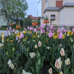 Villach City Park (Stadtpark Villach) - Villach