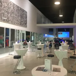 Museum Angerlehner - Wels