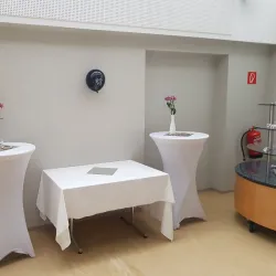 St. Stephen's Church (Stadtpfarrkirche St. Stephan) - Wels