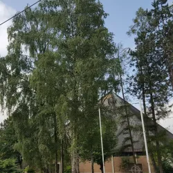 St. Stephen's Church (Stadtpfarrkirche St. Stephan) - Wels