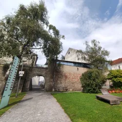 Stadtmuseum Wels - Wels