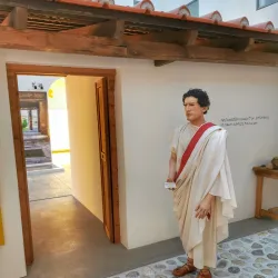 Stadtmuseum Wels - Wels