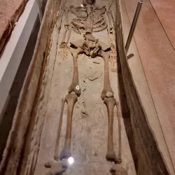 Stadtmuseum Wels - Wels