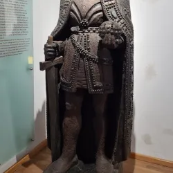 Wels Castle (Schloss Wels) - Wels