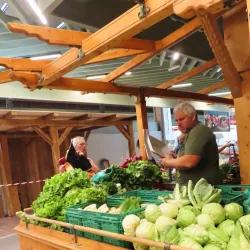 Wels Market Hall (Markthalle Wels) - Wels