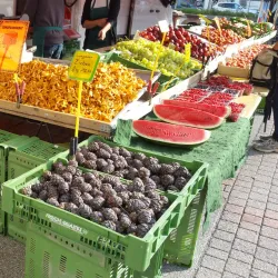 Wels Market Hall (Markthalle Wels) - Wels