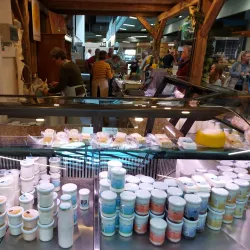 Wels Market Hall (Markthalle Wels) - Wels