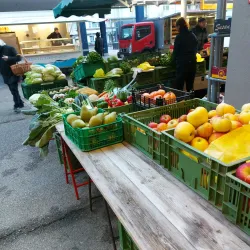 Wels Market Hall (Markthalle Wels) - Wels