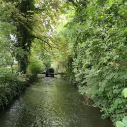 Wels Zoo (Tiergarten Wels) - Wels