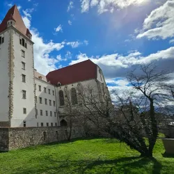 Burg Wiener Neustadt (Wiener Neustadt Castle) - Wiener Neustadt