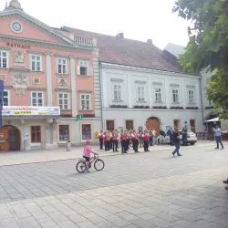 Hauptplatz Wiener Neustadt - Wiener Neustadt