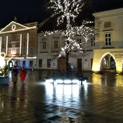Hauptplatz Wiener Neustadt - Wiener Neustadt