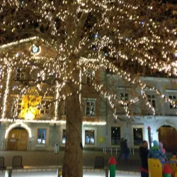 Hauptplatz Wiener Neustadt - Wiener Neustadt