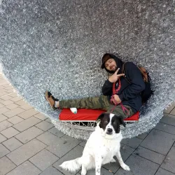 Hauptplatz Wiener Neustadt - Wiener Neustadt