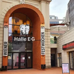 Kunsthalle Wiener Neustadt - Wiener Neustadt