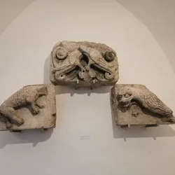 Stadtmuseum Wiener Neustadt - Wiener Neustadt