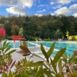 Therme Wiener Neustadt - Wiener Neustadt