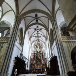 Wiener Neustadt Cathedral (Dom zu Wiener Neustadt) - Wiener Neustadt