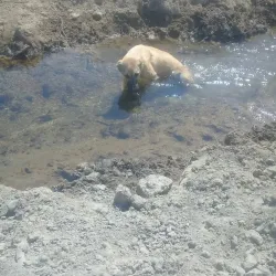 Surrounding Countryside - Agcabadi