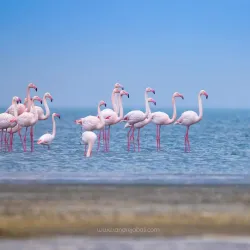 Absheron National Park - Bakixanov (Bakikhanov)