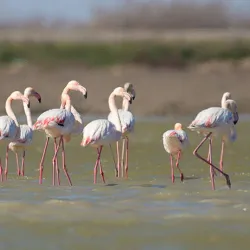 Absheron National Park - Bakixanov (Bakikhanov)
