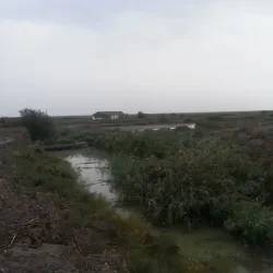 Nature Reserve near Calilabad - Calilabad